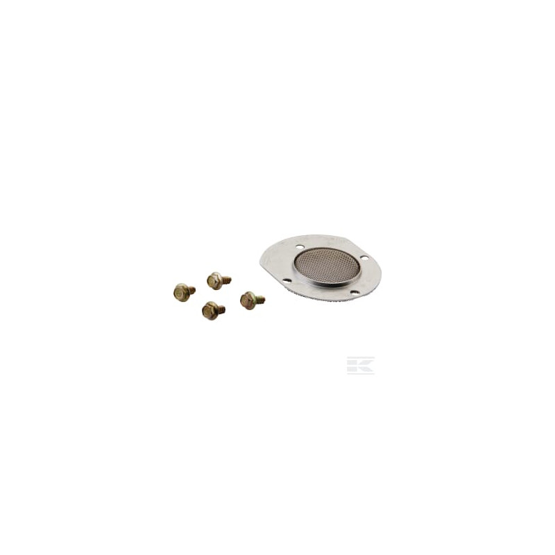 Briggs et Stratton 398067 Pare-étincelles