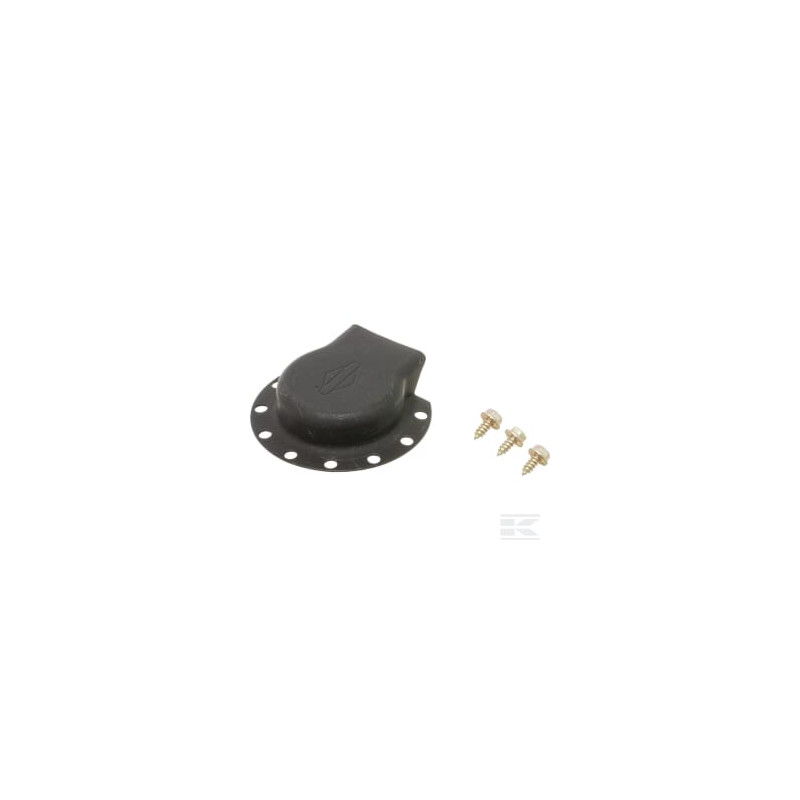 Briggs et Stratton 590953 Déflecteur, silencieux