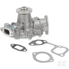 Briggs et Stratton 825265 Pompe à eau