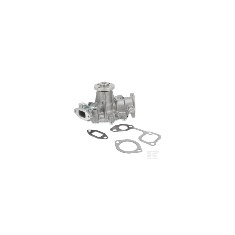 Briggs et Stratton 825265 Pompe à eau