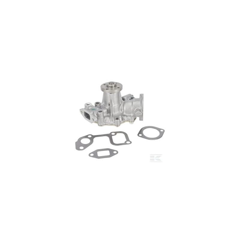 Briggs et Stratton 825639 Pompe à eau
