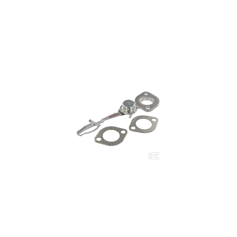 Briggs et Stratton 593208 Thermostat
