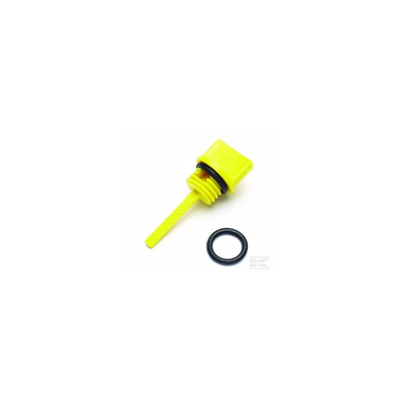 Briggs et Stratton 797325 Joint et jauge