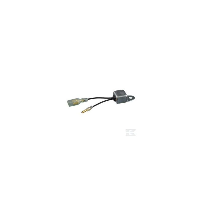 Briggs et Stratton 710305 Module