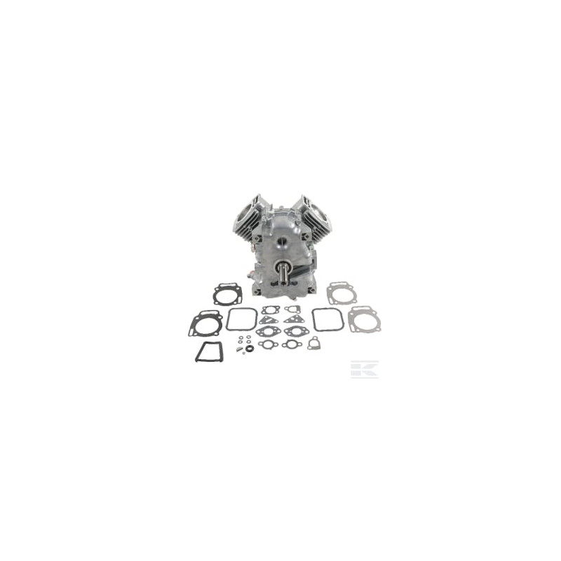 Briggs et Stratton 494057 Shortblock V