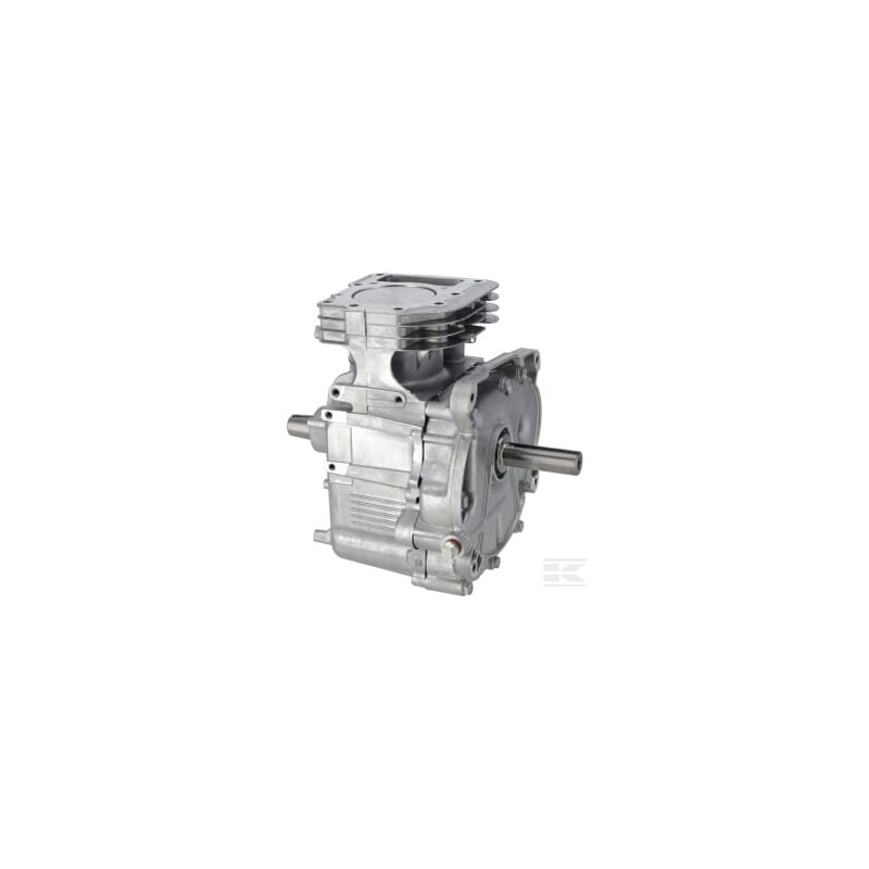 Briggs et Stratton 592055 Shortblock SB modèle 21 AVS