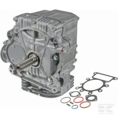 Briggs et Stratton 592056 Shortblock
