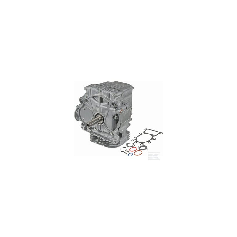 Briggs et Stratton 592056 Shortblock