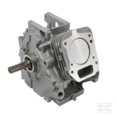 Briggs et Stratton 699582 Shortblock