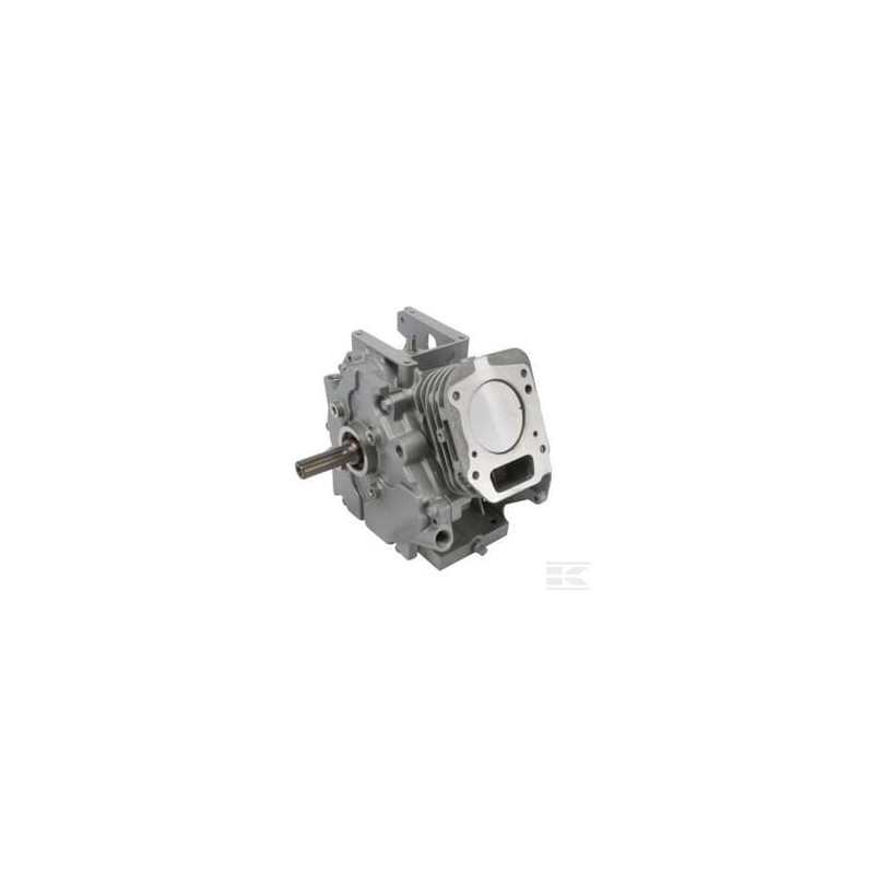 Briggs et Stratton 699582 Shortblock