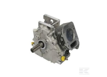 Briggs et Stratton 699585 Shortblock