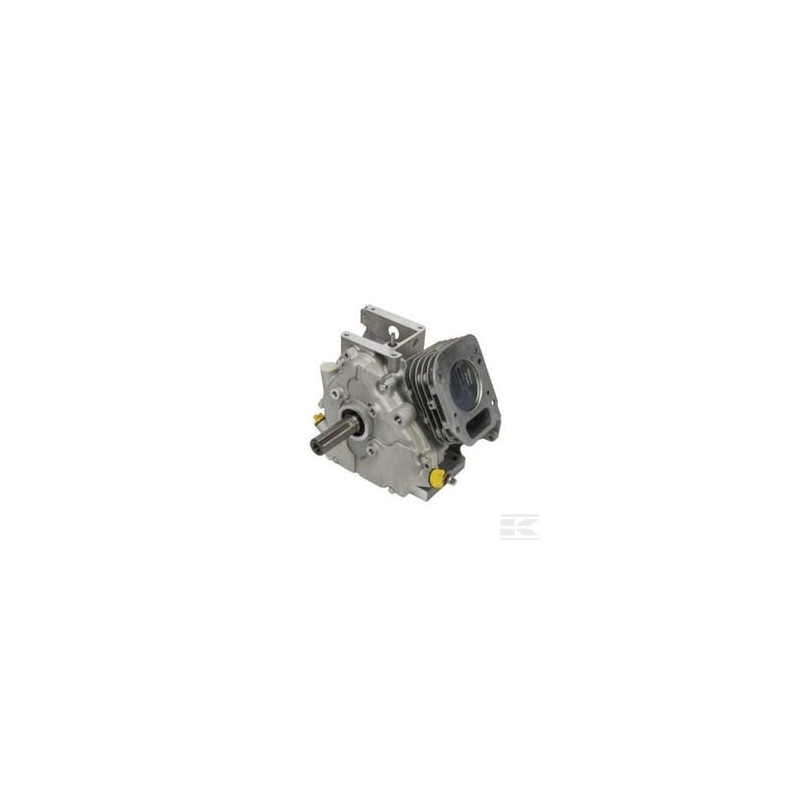 Briggs et Stratton 699585 Shortblock