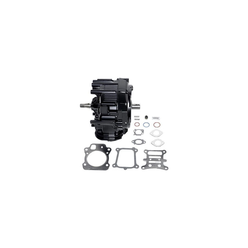 Briggs et Stratton 799856 Shortblock