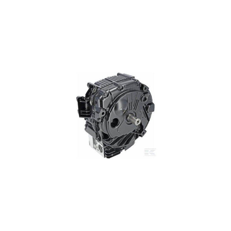 Briggs et Stratton 799982 Bloc court, modèle 12 vert