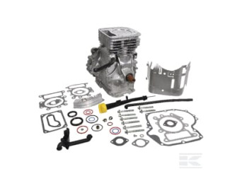 Briggs et Stratton 592059A Bloc court modèle 31 vertical
