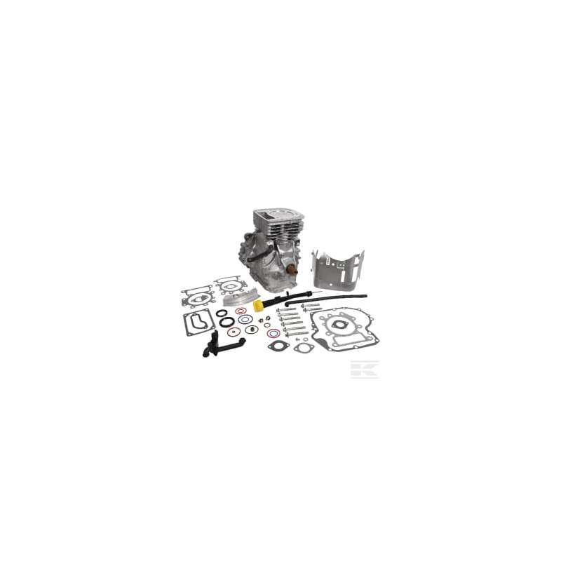 Briggs et Stratton 592059A Bloc court modèle 31 vertical