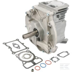 Briggs et Stratton 795156A Bloc court Dov 80x22,2