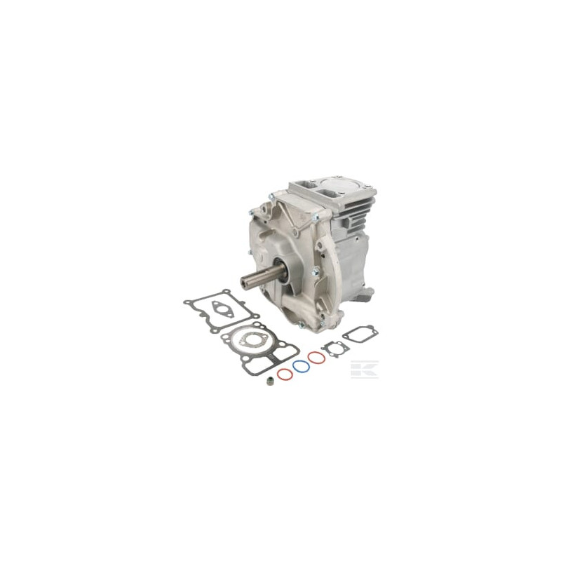 Briggs et Stratton 795156A Bloc court Dov 80x22,2