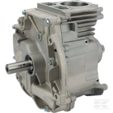 Briggs et Stratton 795157A Shortblock modèle 1008 DOV
