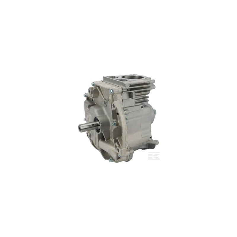 Briggs et Stratton 795157A Shortblock modèle 1008 DOV