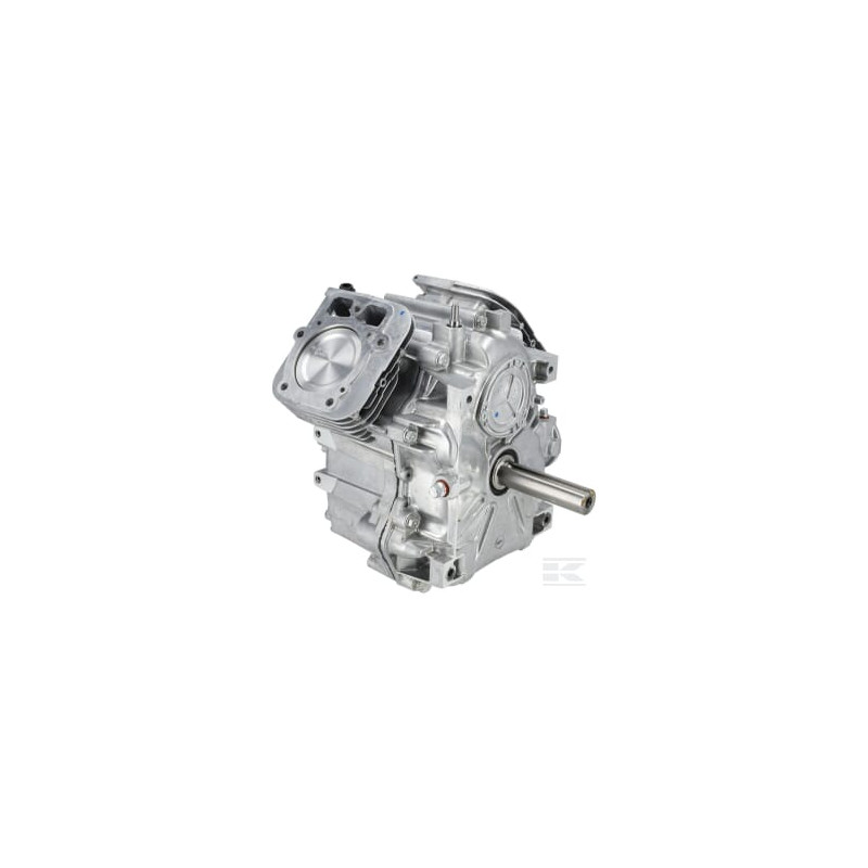 Briggs et Stratton 797510A Bloc court Modèle 49M8