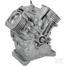 Briggs et Stratton 80083857 Ensemble bloc moteur (MDL 35 HS)