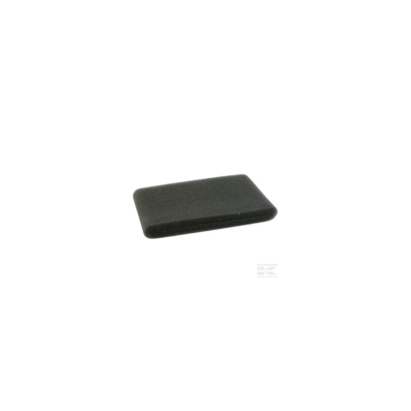 Honda 17218ZF5V00 Pré filtre