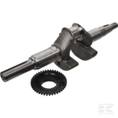 Honda 06131Z8AW00 Vilebrequin