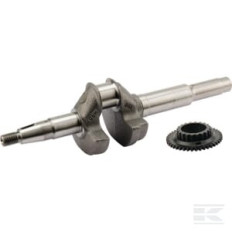 Honda 06131Z8DW50 Vilebrequin