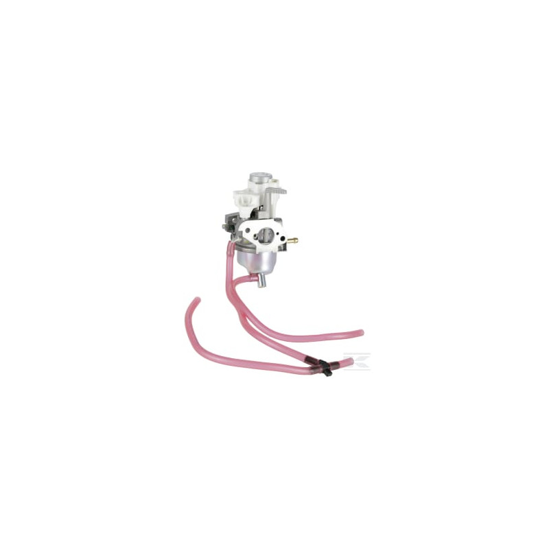 Honda 16100ZDJD01 Carburateur (Bf30H A)