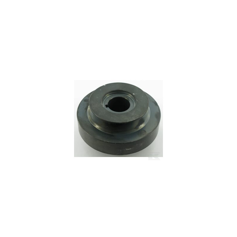 Honda 06751VE1305 Poulie de démarrage
