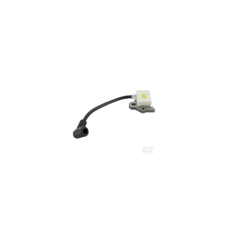 Alpina ALP6980621 Bobine d'allumage