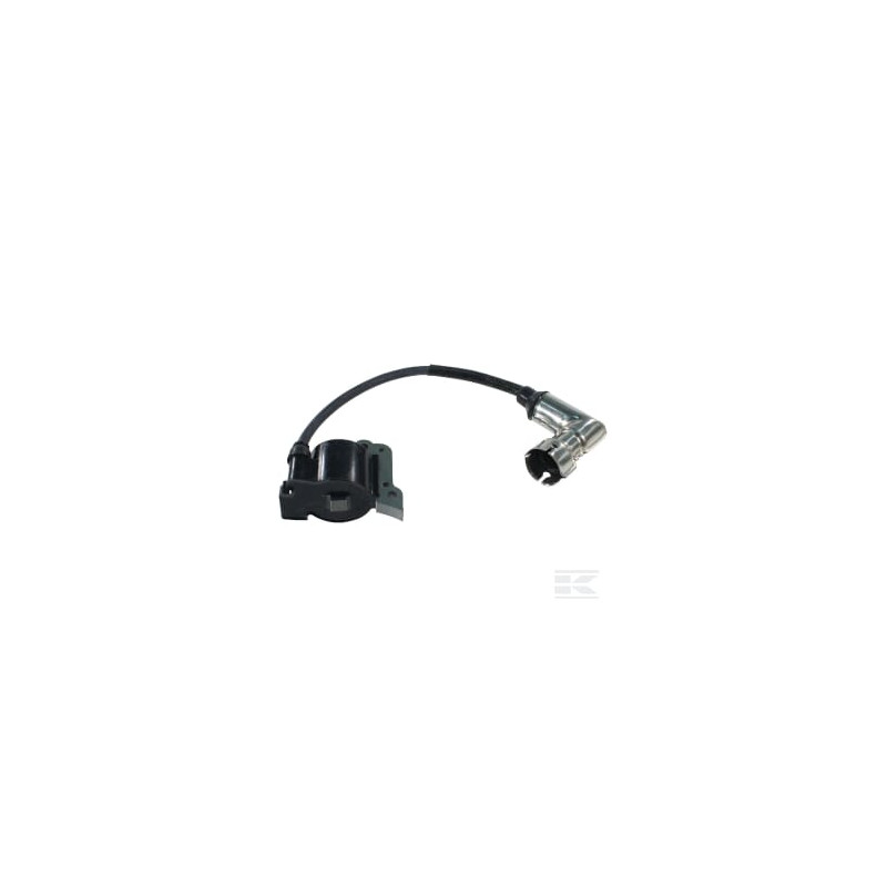 Alpina ALP6981204 Bobine d'allumage