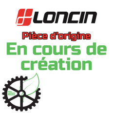 Loncin 3807502500002 Tube de carburant
