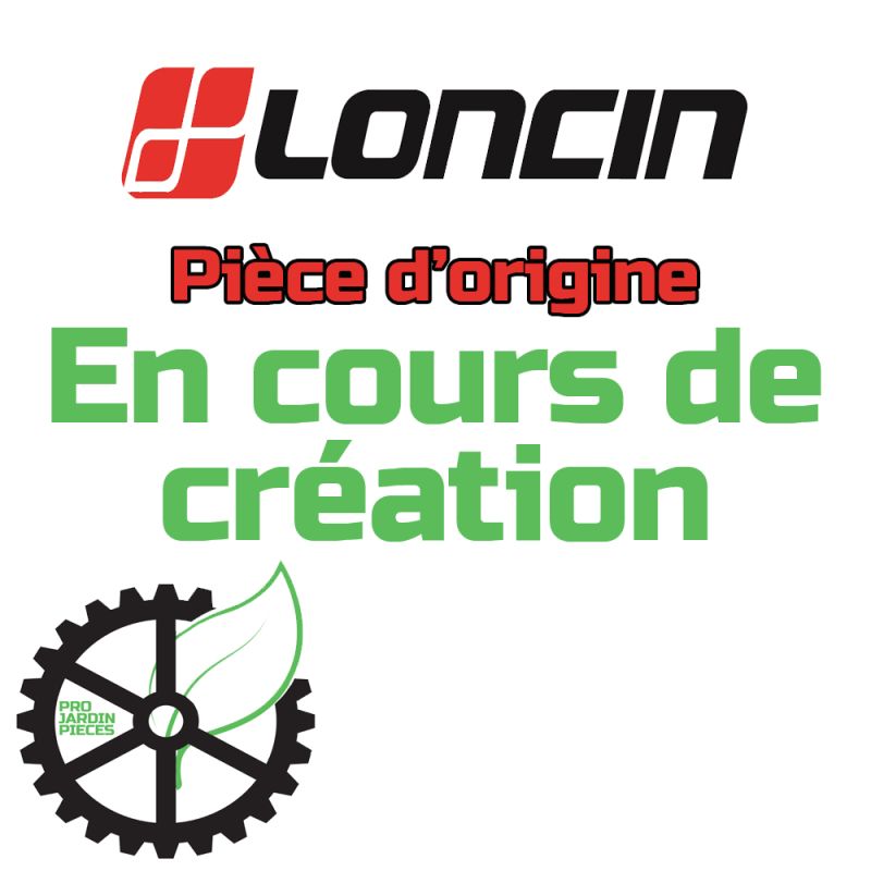 Loncin 3807502500002 Tube de carburant