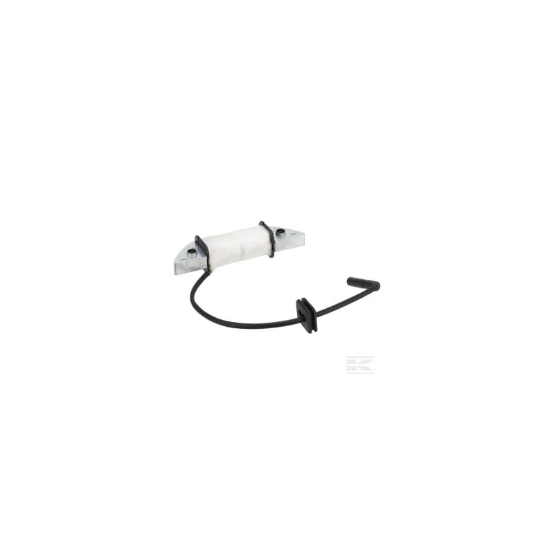 Loncin 2701900180001 Ensemble bobine de charge