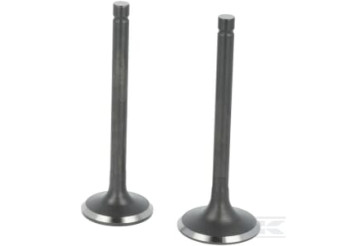 Loncin 5005500370001 Kit de soupape