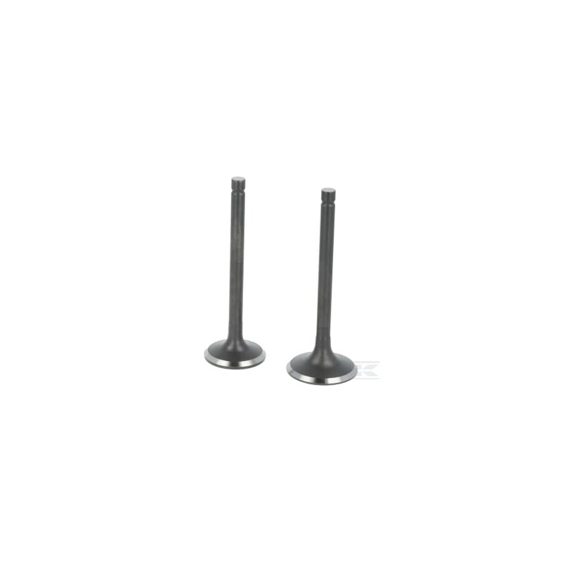 Loncin 5005500370001 Kit de soupape
