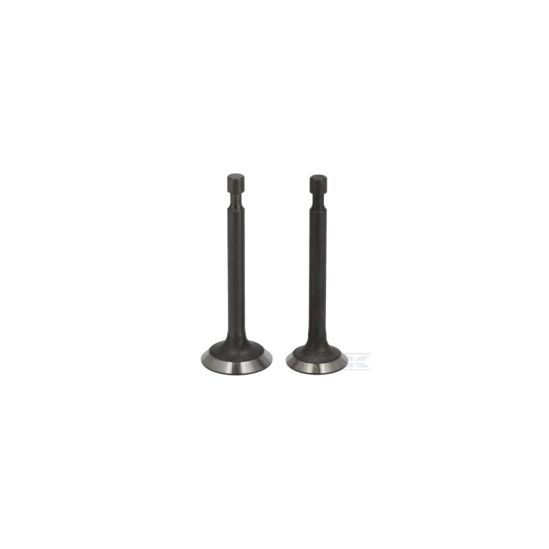 Loncin 5005500340001 Kit de soupape