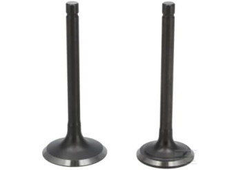 Loncin 5005500360001 Kit de soupape