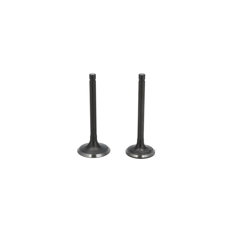Loncin 5005500360001 Kit de soupape