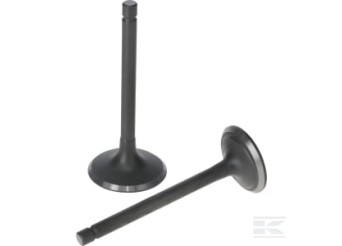 Loncin 5005500320001 Kit de soupape