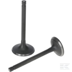 Loncin 5005500320001 Kit de soupape