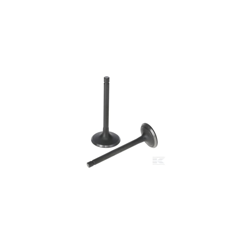 Loncin 5005500320001 Kit de soupape