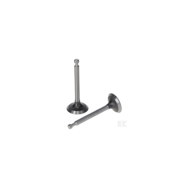 Loncin 5005501290001 Kit de soupape