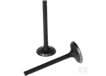Loncin 5005500300001 Ensemble de soupapes