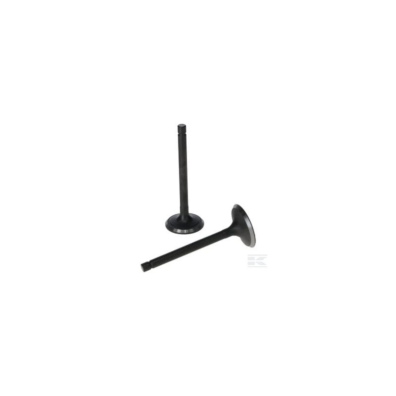 Loncin 5005500300001 Ensemble de soupapes