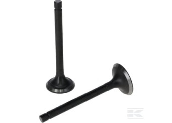 Loncin 5005500310001 Kit de soupape