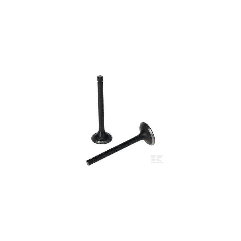 Loncin 5005500310001 Kit de soupape