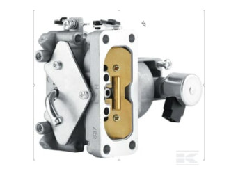 Kawasaki 150047031 Carburateur complet